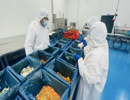 韓國客戶對健達公司進行實地考察